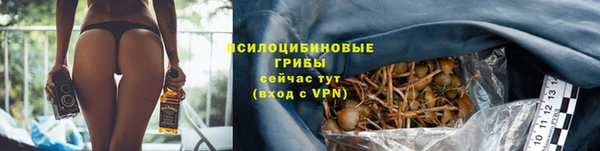 бутират Дмитровск