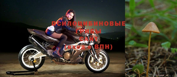 мдма Дмитриев