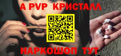 крисы Кунгур