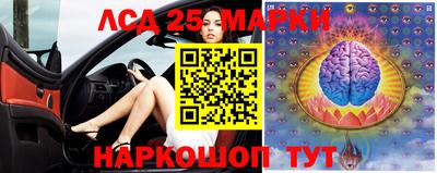 крисы Кунгур