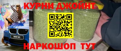 крисы Кунгур