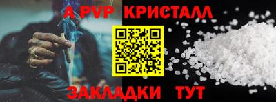 крисы Кунгур